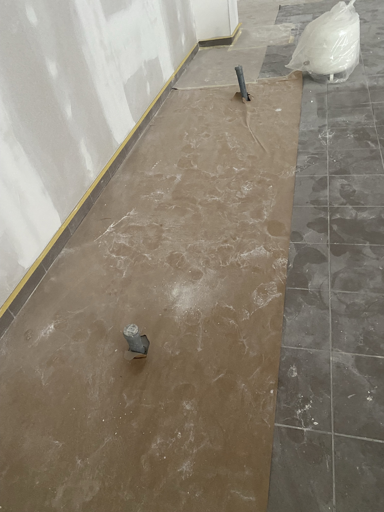 Ropažu iela projekts foto 2